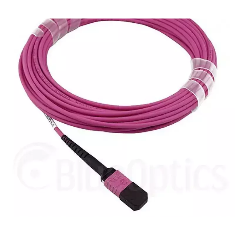 Cable de fibra óptica InfiniBand BlueOptics CBL-MPO12-OM4-2M MPO 2 m OM4