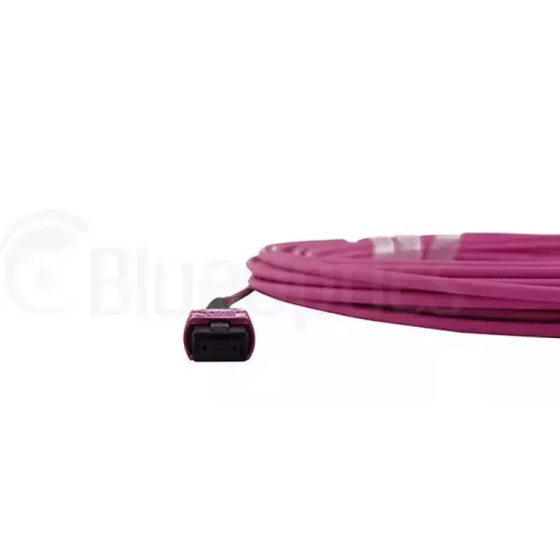 Cable de fibra óptica InfiniBand BlueOptics CBL-MPO12-OM4-2M MPO 2 m OM4
