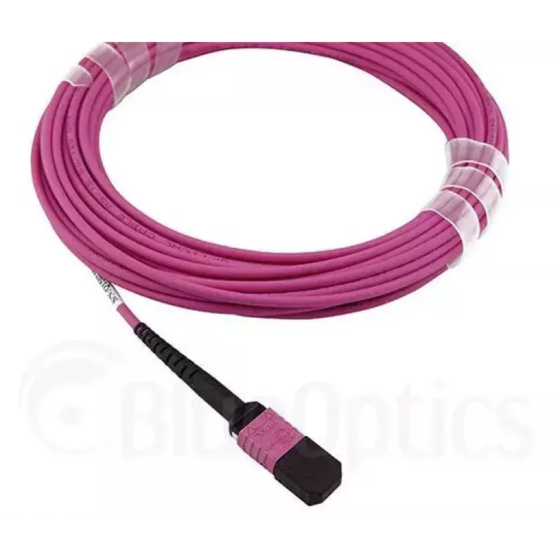 Cable de fibra óptica MPO BlueOptics CBL-MPO12-OM4-5M-BO 5 m OM4 50 µm