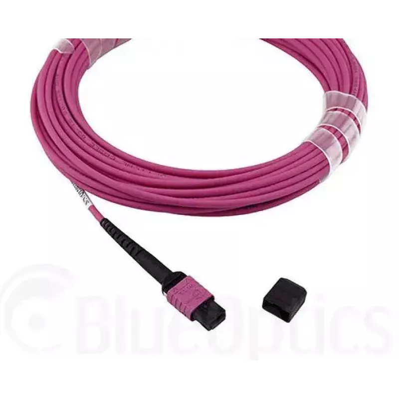 Cable de fibra óptica MPO BlueOptics CBL-MPO12-OM4-5M-BO 5 m OM4 50 µm