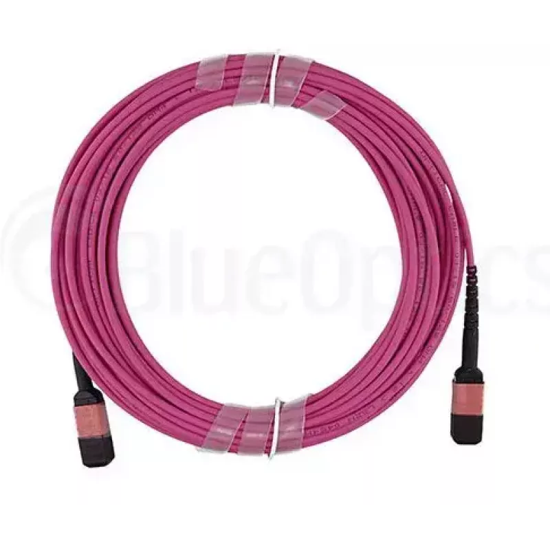 Cable de fibra óptica MPO BlueOptics CBL-MPO12-OM4-5M-BO 5 m OM4 50 µm