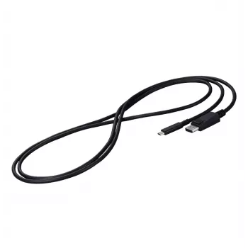EIZO CP200-BK cable DisplayPort 2 m USB Type-C negro