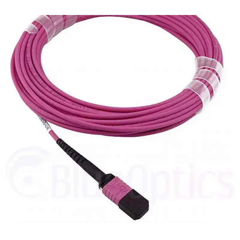 Cable InfiniBand/fibra óptica BlueOptics HH5CP 3 m MPO 4x LC