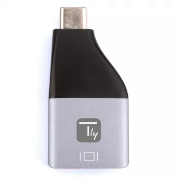 Techly IADAP USBC-DP4K adaptador gráfico USB 3840 x 2160 píxeles negro, plata