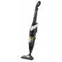 Aspirador escoba Rowenta RH8155WA AC en seco ciclónico sin bolsa 0,9 L 750 W negro, plateado, amarillo