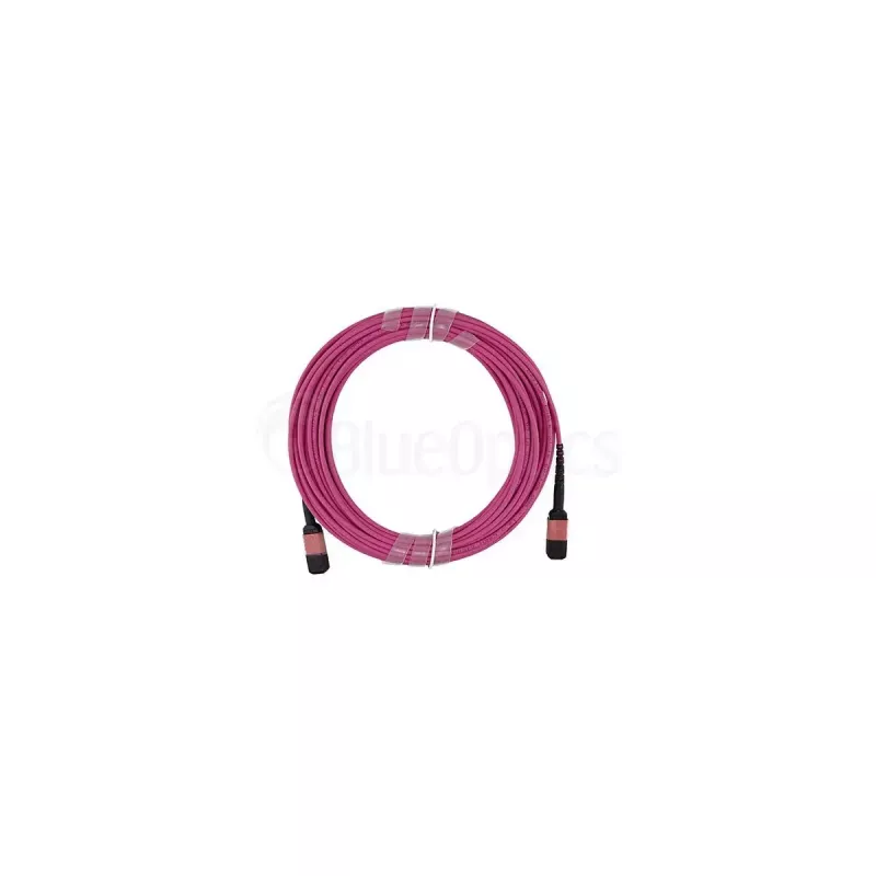 Cable de fibra óptica BlueOptics SFP5252FU50MKB MPO OM4 50 m violeta