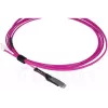 Cable de fibra óptica BlueOptics SFP9231FU2MK MDC LC OM4 2 m magenta