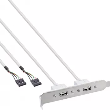 Tapa de ranura InLine 2x USB 2.0 Type-A hembra a 2x cabecera interna de 5 pines 0,3m