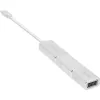 InLine Convertidor de pantalla USB Set 6 en 1, 4K/60Hz Plata