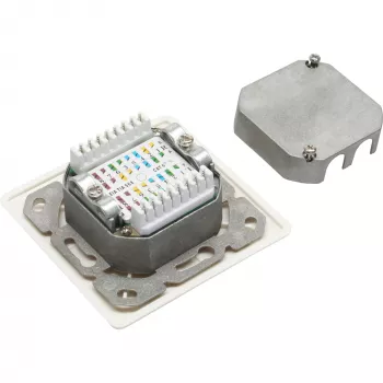 InLine Toma de conexión Cat.6 2x RJ45 hembra RAL9010 blanca horizontal