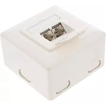 InLine 75602K Toma de pared, montaje de superficie o empotrar, 2x RJ45 vertical