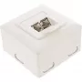 InLine 75602K Toma de pared, montaje de superficie o empotrar, 2x RJ45 vertical