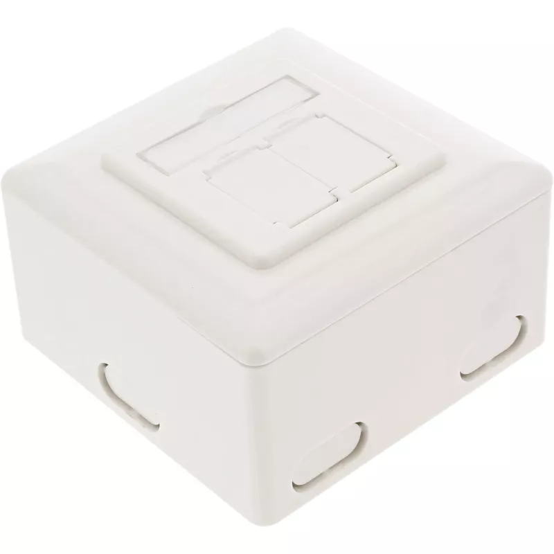 InLine 75602K Toma de pared, montaje de superficie o empotrar, 2x RJ45 vertical