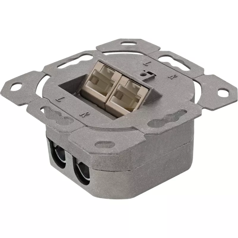 InLine 75602K Toma de pared, montaje de superficie o empotrar, 2x RJ45 vertical