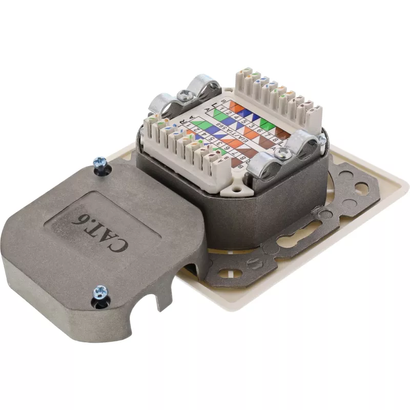 InLine 75602K Toma de pared, montaje de superficie o empotrar, 2x RJ45 vertical