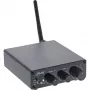 InLine Receptor de audio Bluetooth 5.3 con amplificador de 96 vatios