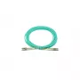 BlueOptics 00MN511-BO cable de fibra óptica InfiniBand 10 m LC aqua