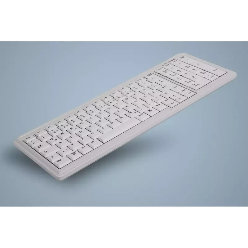 Teclado Active Key AK-7000 industrial PS/2 US inglés blanco con cable interruptores de tijera