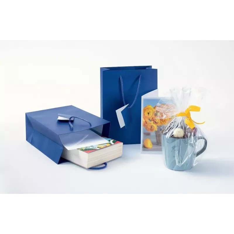 Bolsa de regalo Sigel GT504 Azul monocromo 170x90x230 mm
