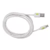 Techly ICOC MUSB20-CMAM20TW Cable USB USB 2.0 2 m USB A USB C blanco