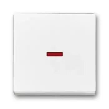 Placa de pared/tapa de interruptor Busch-Jaeger 1751-0-2814 blanco, 63×63 mm