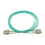 BlueOptics SFP3232EU1MK Cable de fibra óptica InfiniBand 1 m SC Verde