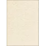 Hojas de papel artístico Sigel DP655 50 hojas Beige 200 g/m²