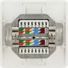 Toma de red RJ-45 Schwaiger TDU2628532