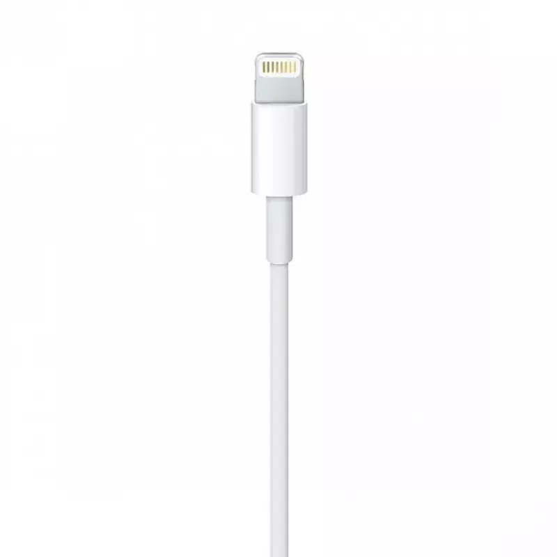 Cable Apple MQUE2ZM 1m blanco