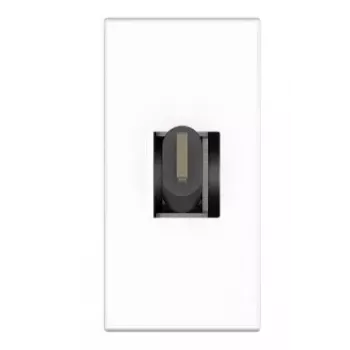 Toma de corriente USB C Kindermann 7464000620 Negro Blanco