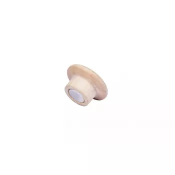 Imanes de madera Legamaster 25mm 5 uds.
