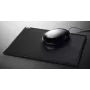 Cintano S negro Sigel