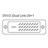 Techly DVI digital Dual Link (DVI-D) con ferrita 10 m ICOC DVI-811CF
