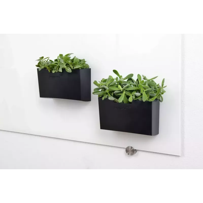 Soporte para rotuladores de pizarra Legamaster accesorio para pizarra de cristal negro