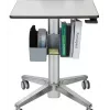 Cesta de almacenamiento Ergotron 97-926-064