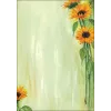 Hojas de papel artístico Sigel DP694 25 hojas