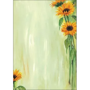 Hojas de papel artístico Sigel DP694 25 hojas