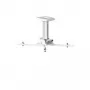 Soporte de techo Kindermann Premium MA30