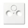 Placa embellecedora, Busch-Jaeger 1743-884, blanco, diseño convencional, 63×63 mm