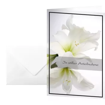 Tarjeta de felicitación y condolencia Sigel DS006
