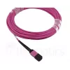 BlueOptics CBL-MPO12-4LC-OM4-5M-BO Cable de fibra óptica InfiniBand 4x LC MPO 5m