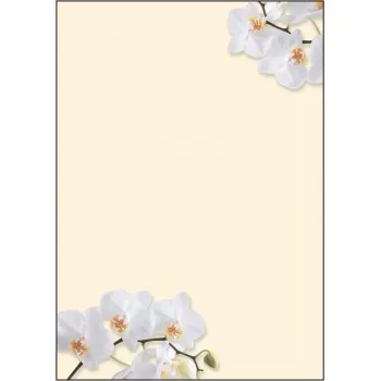 Papel de impresión artística Sigel DP904 50 hojas