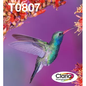 Multipack de cartuchos de tinta Epson Hummingbird T0807 — 6 colores (negro, cian, cian claro, magenta claro, magenta, amarillo)