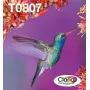 Multipack de cartuchos de tinta Epson Hummingbird T0807 — 6 colores (negro, cian, cian claro, magenta claro, magenta, amarillo)