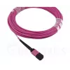 BlueOptics EMC CBL-MPO12-4LC-OM4-2M Cable de fibra óptica MPO 4x LC 2m