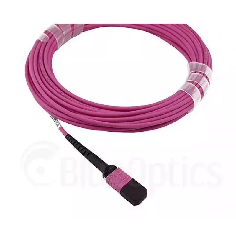 BlueOptics EMC CBL-MPO12-4LC-OM4-2M Cable de fibra óptica MPO 4x LC 2m