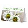 Tarjeta de felicitación/condolencia Sigel DP671