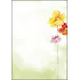 Papel artístico Sigel DP123 50 hojas