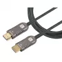 Cable HDMI Techly ICOC HDMI-HY2-050 50 m HDMI Type-A (estándar) negro