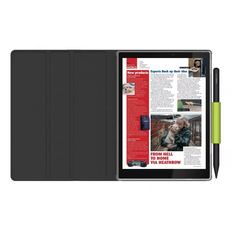 Hannspree Lumo 7.8 Reader Tablet 64 GB 19,8 cm (7,8